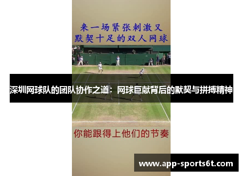 深圳网球队的团队协作之道：网球巨献背后的默契与拼搏精神