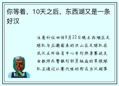 你等着，10天之后，东西湖又是一条好汉